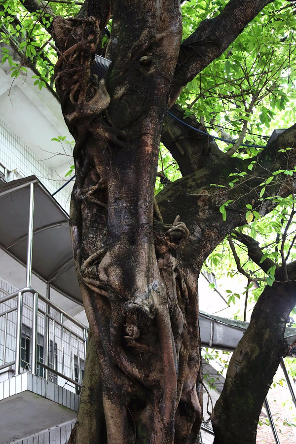 圖片4.png 圖片4.png