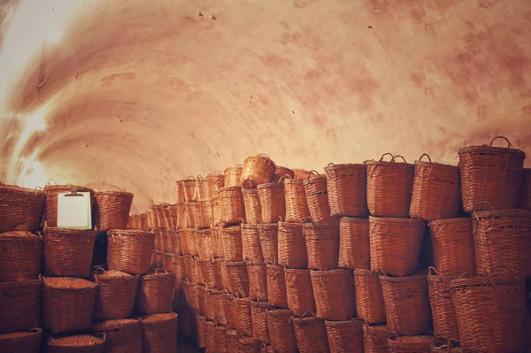 圖片3.png 圖片3.png