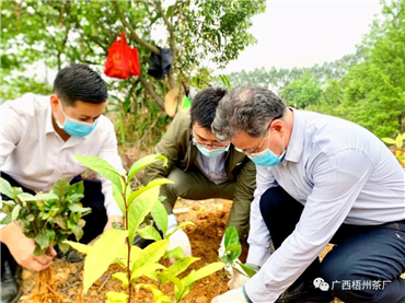 微信圖片_20200316102620_副本.jpg 微信圖片_20200316102620_副本.jpg