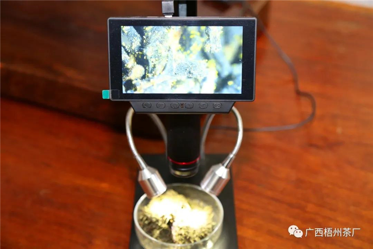 微信圖片_20200407083256_副本.jpg 微信圖片_20200407083256_副本.jpg